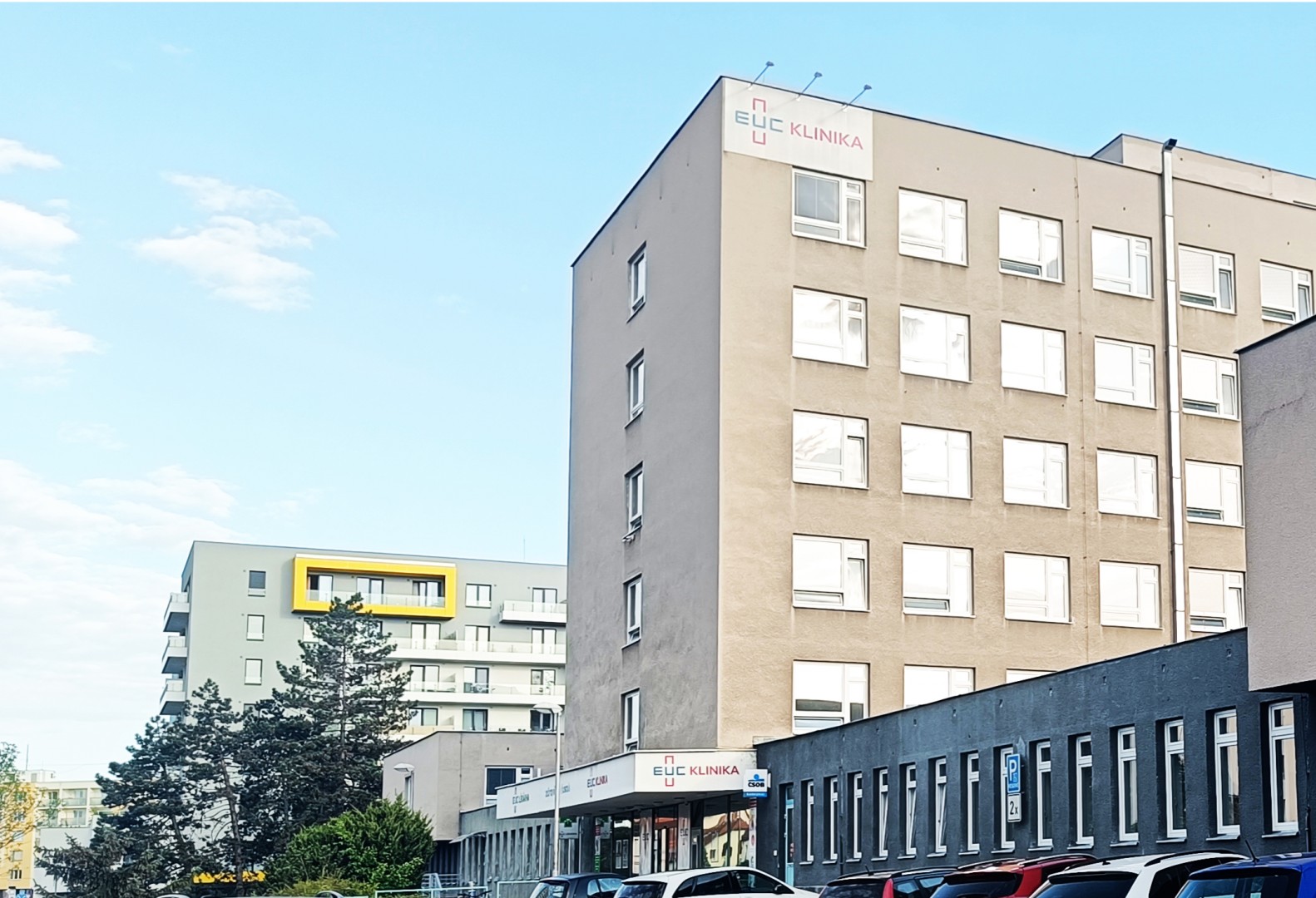 IMG20240502071944-crop